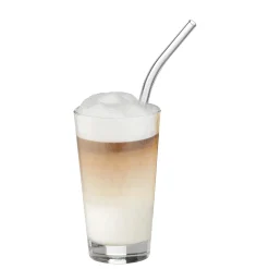 Baric Trinkhalme aus Glas, 22 cm, 6 Stück