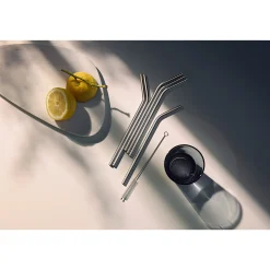 BaricTrinkhalm-Set aus Cromargan®, 24 cm, 6-teilig plus Reinigungsbürste